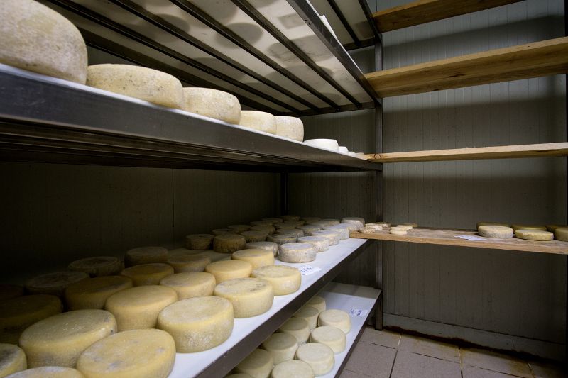 Azienda Agricola "Il Vallone"