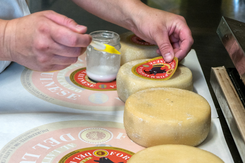 Azienda Agricola "Il Vallone"