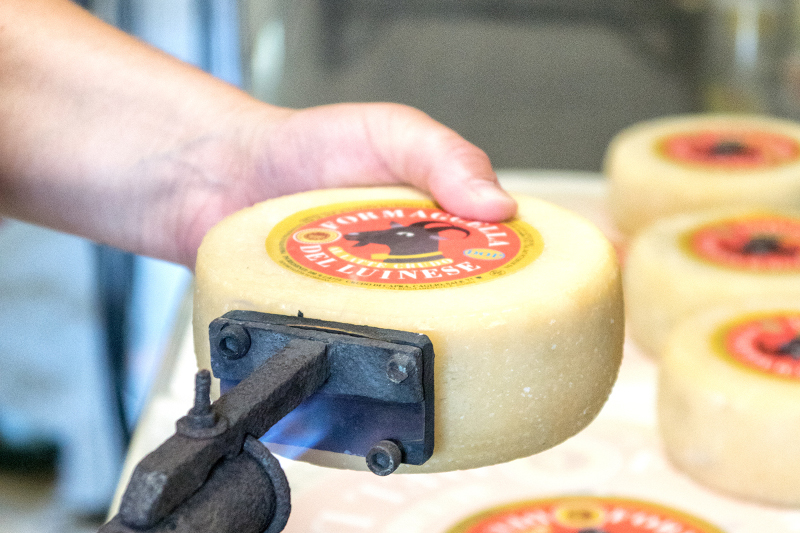 Azienda Agricola "Il Vallone"