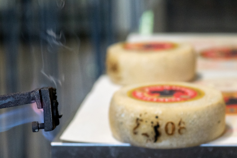 Azienda Agricola "Il Vallone"